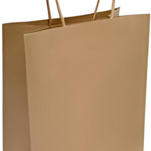 10 x 5 x 13 paper twist handle bag kraft 250 cs